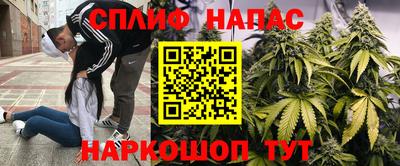 ALPHA PVP Нальчик