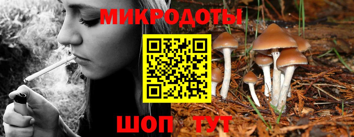 Урус-Мартан  Псилоцибиновые грибы MAGIC MUSHROOMS  Вход с VPN  Псилоцибиновые грибы Cubensis 